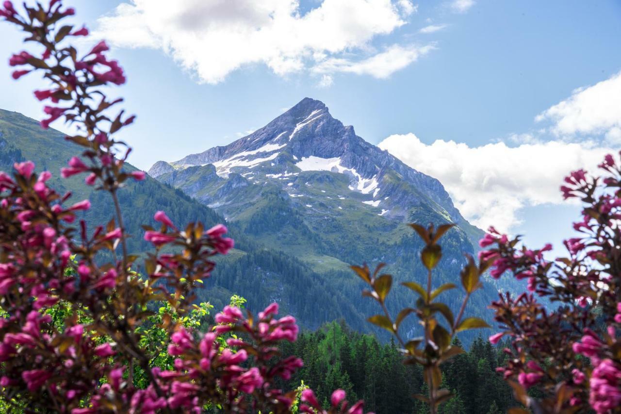 Alpengruss Affittacamere Gerlos